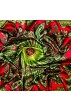 Tuch für Herren grün rot purpur Seide Floral LORENZO CANA